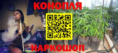 эйфоретик Аргун