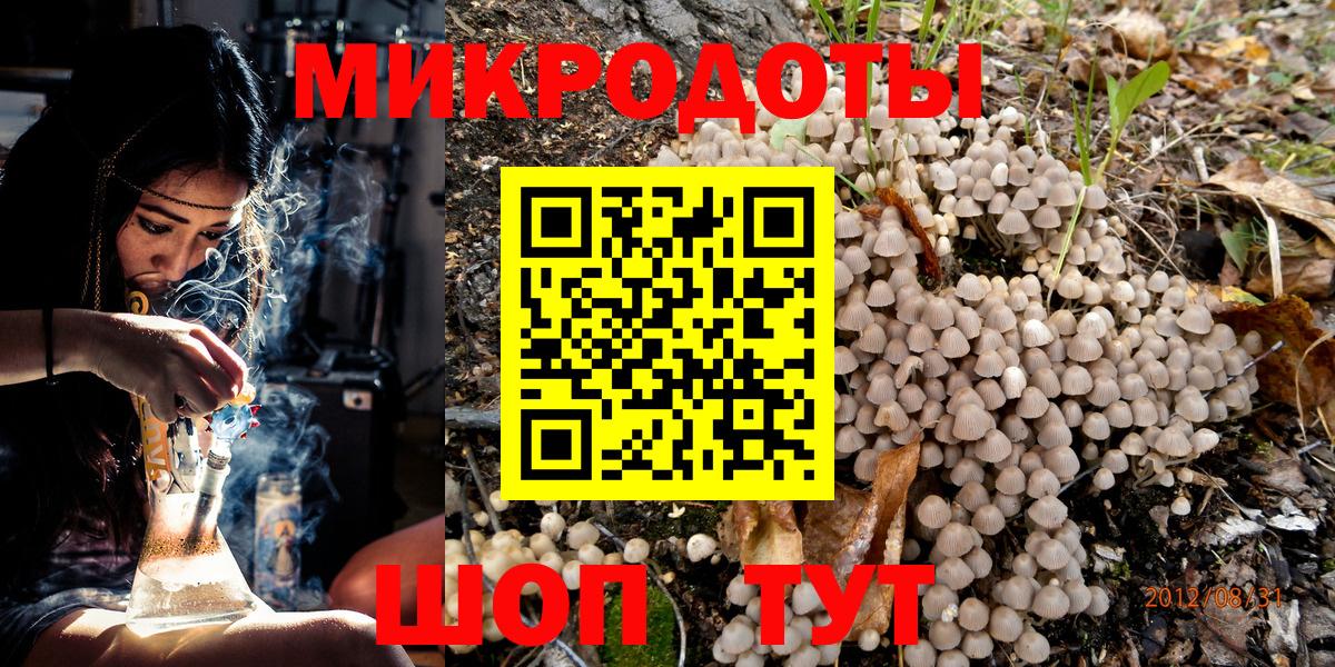 Владикавказ  сколько стоит  Вход с VPN  Галлюциногенные грибы Psilocybine cubensis 