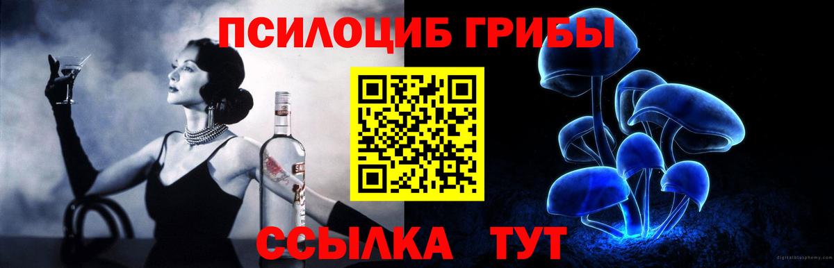 Псилоцибиновые грибы Magic Shrooms Владикавказ